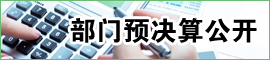 部门预决算公开